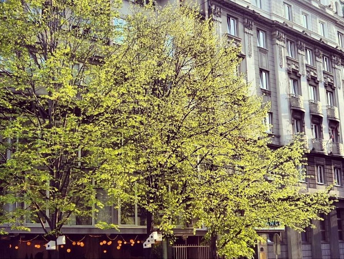 Supreme Palace Cube Belgrad Dış mekan fotoğraf